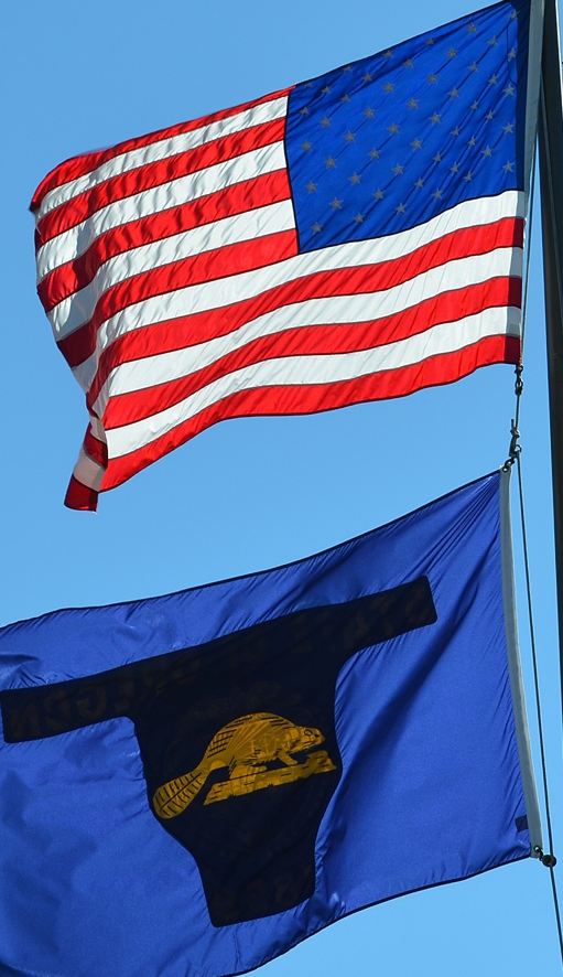 US and State Flags cropped